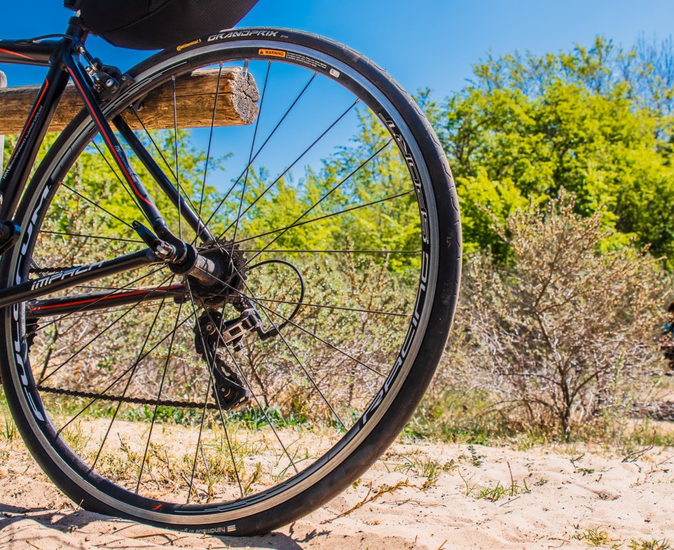 Egmond Duinen Racefiets.jpg