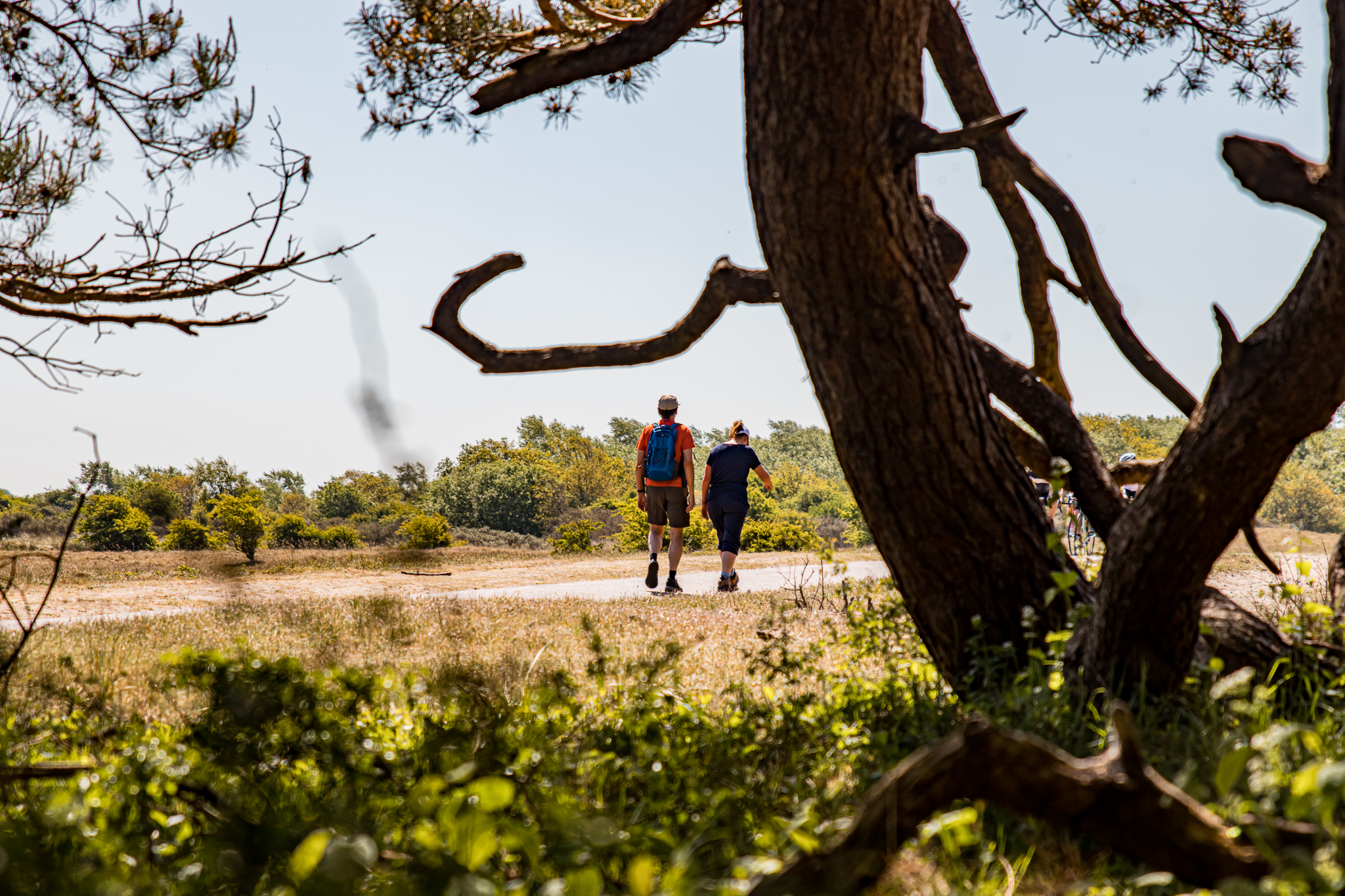 Noordhollands Duinreservaat Egmond02.jpg