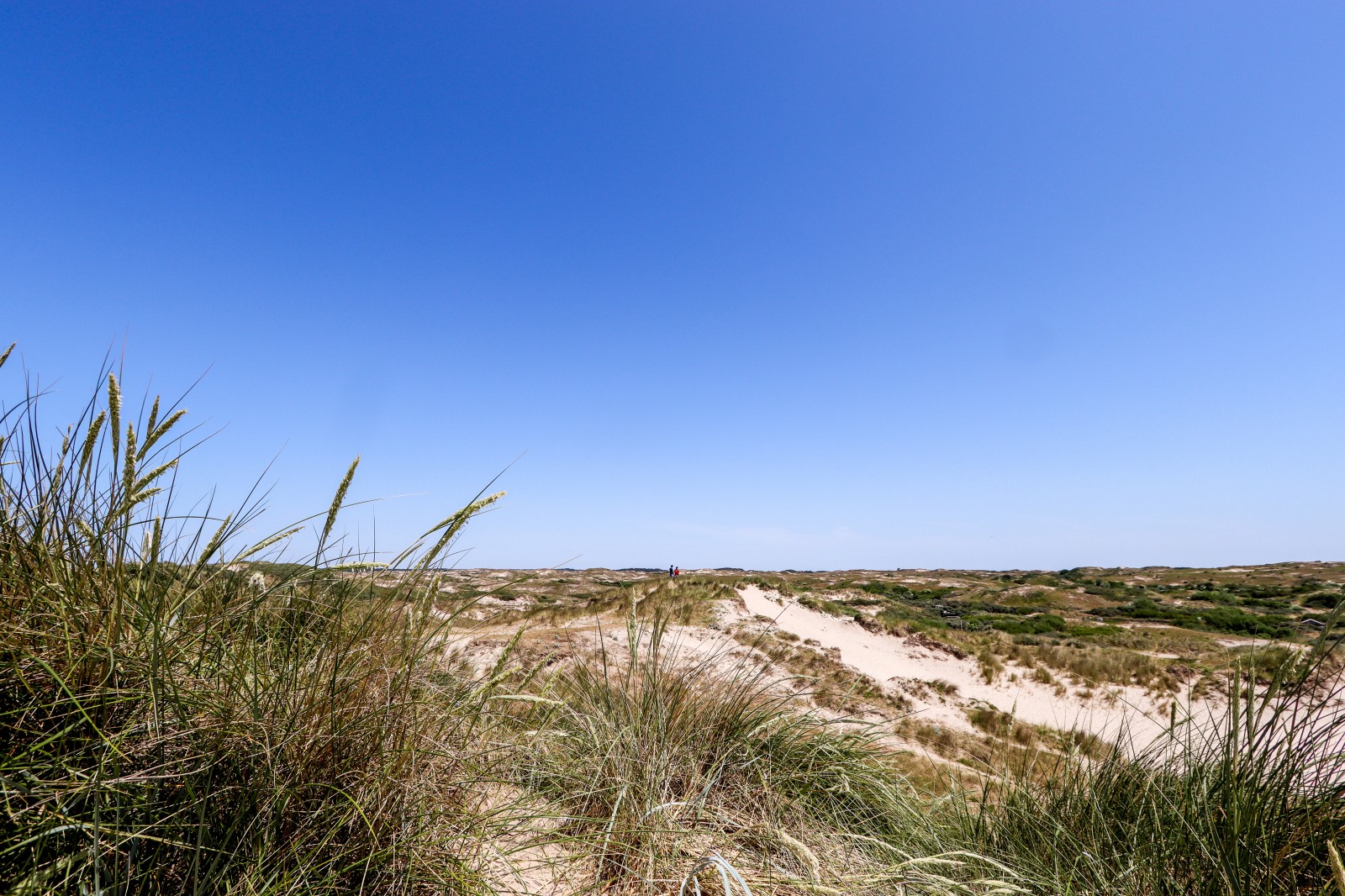 Voorjaar_duinen02.jpg