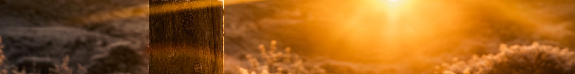 Kerstbanner.jpg