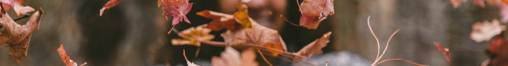 Herfstvakantie