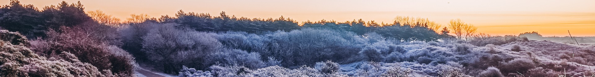 Winter duinen 2 - Egmond aan zee