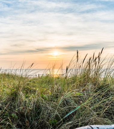 Hotel in Egmond - Strand duinen zon