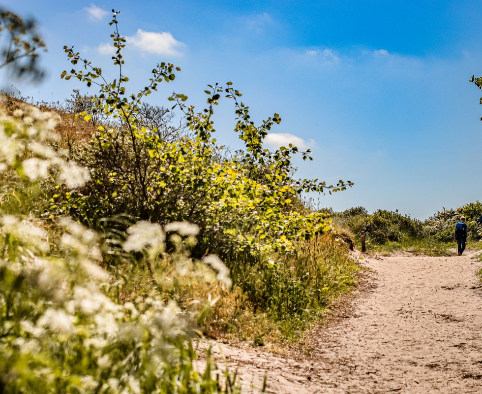 Duinenwandelen.jpg