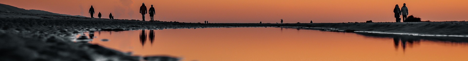 IMG_4647.jpg