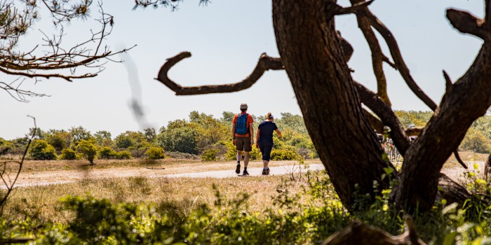 Noordhollands Duinreservaat Egmond02