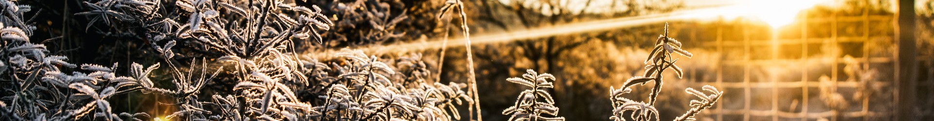 kerstbanner3.jpg