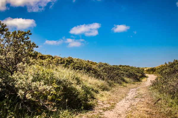 Zomers_duinlandschap.jpg