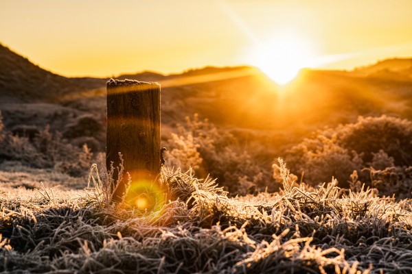 kerstbanner.jpg