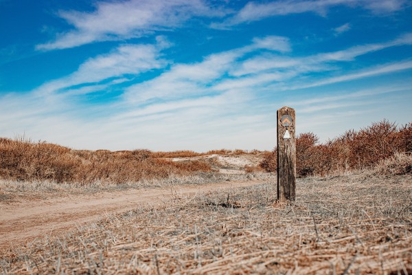 duinen_markering.jpg