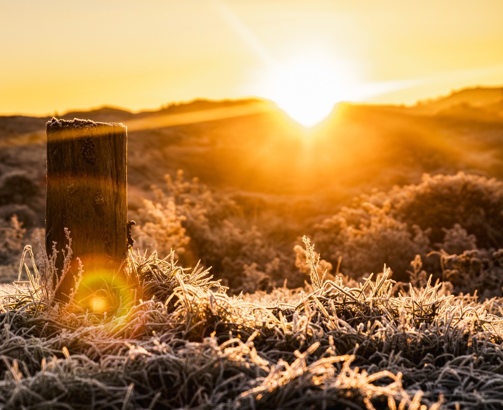 Kerstbanner.jpg