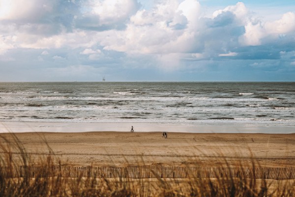Zondag aan zee
