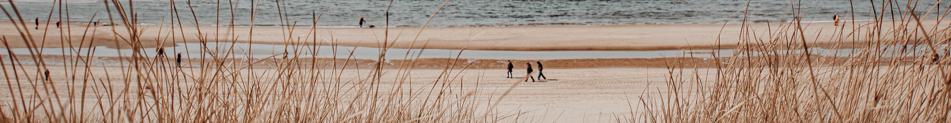strandwandeling_voorjaar.jpg