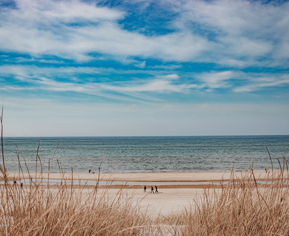 strandwandeling_voorjaar.jpg