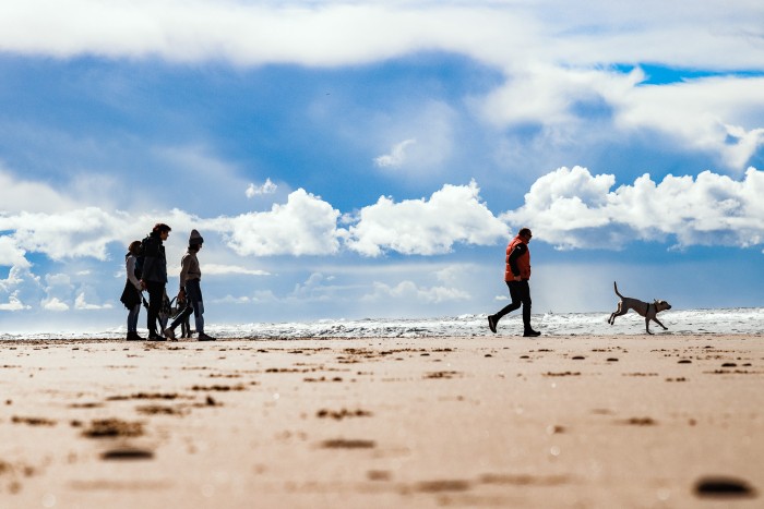 Mooie winterdag strandwandeling met hond