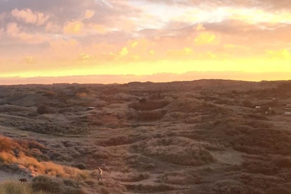 Natuurlijk appartementen - duinen.jpg