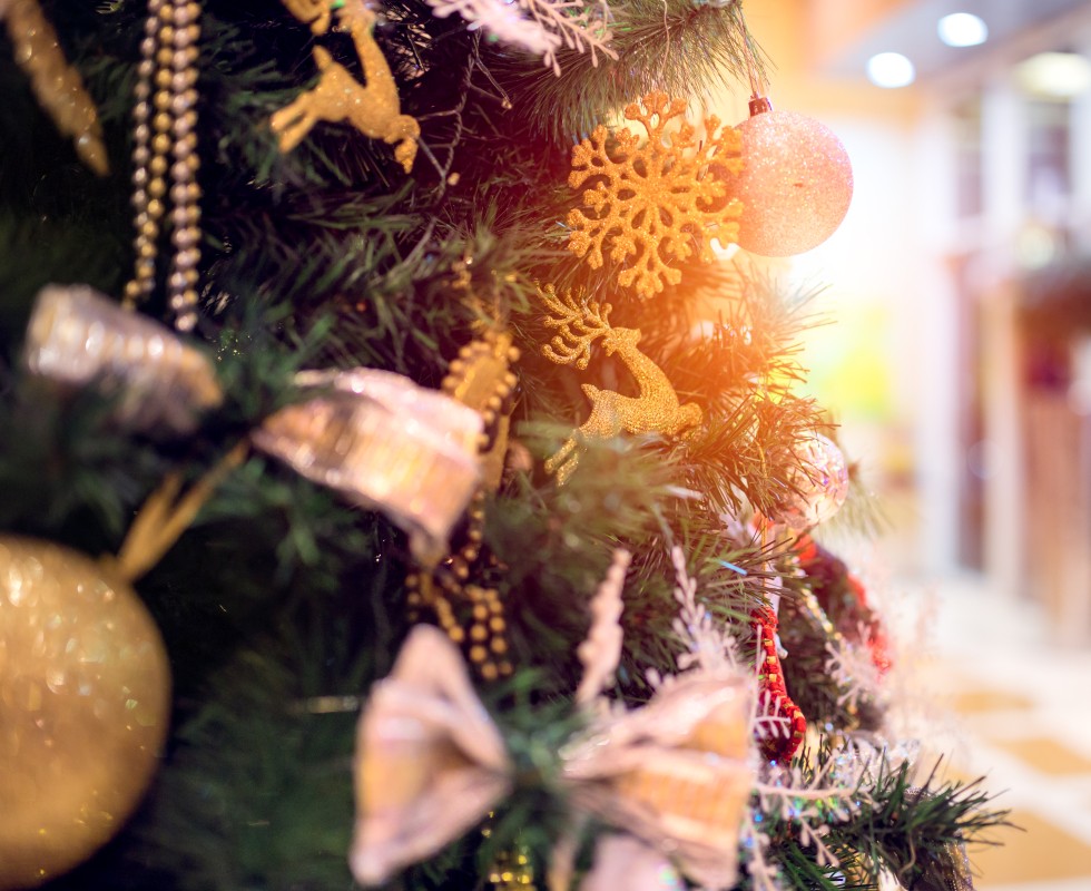 Zuiderduin kerst Egmond aan Zee 1