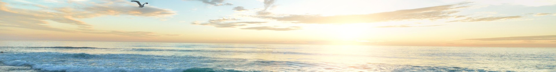 frank-mckenna-OD9EOzfSOh0-unsplash.jpg